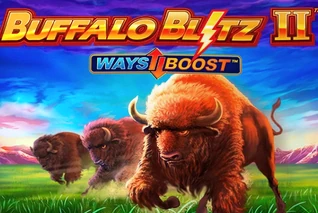 Buffalo Blitz 2